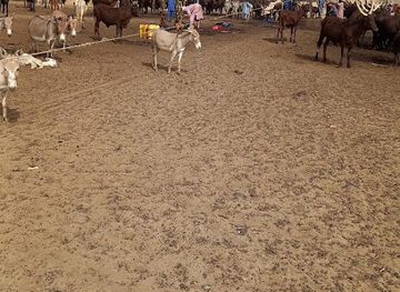 estonia/polva-county/bar/britney-ltd