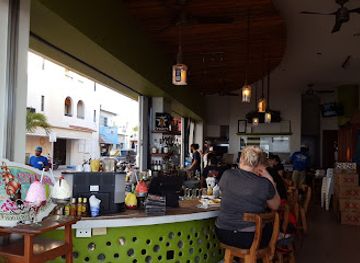 mexico/cozumel/san-miguel/bar/thirsty-cougar