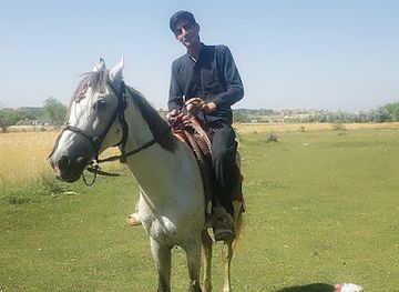afghanistan/khost/bar/