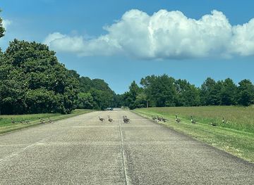 virginia/colonial-national-historical-park/bar/colonial-national-historical-parkway