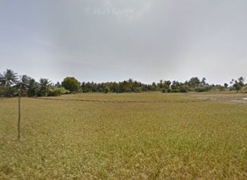 cambodia/kampot/bar/the-first-bar