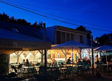 hungary/balaton-uplands/bar/kaloz-strandbisztro
