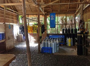 solomon-islands/gizo/bar/dive-gizo