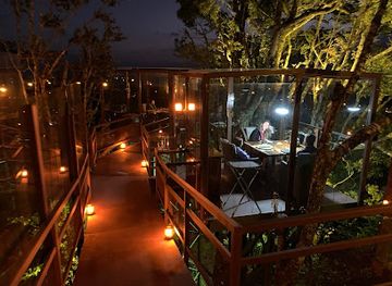costa-rica/monteverde-cloud-forest-biological-reserve/bar/san-lucas-treetop-dining-experience