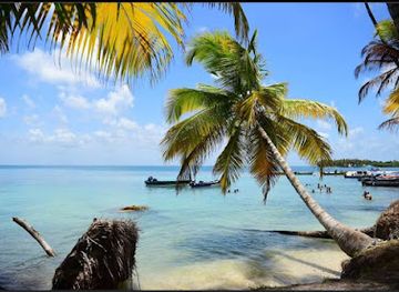 nicaragua/pearl-cays/bar/pearl-cays