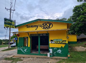 jamaica/cornwall-county/bar/tammy-s-sky-bar