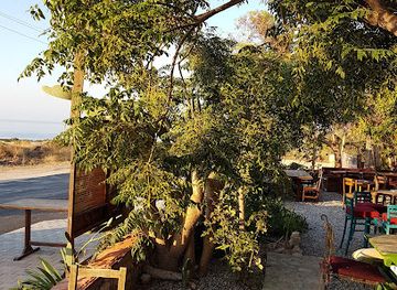 cyprus/machairas-forest/bar/roots-bar