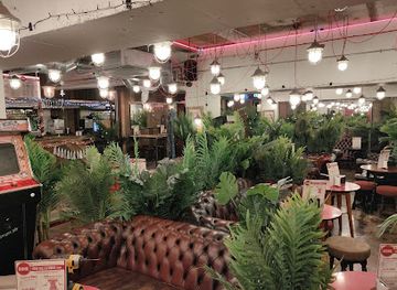 united-kingdom/nottingham/wollaton-park/bar/bunk