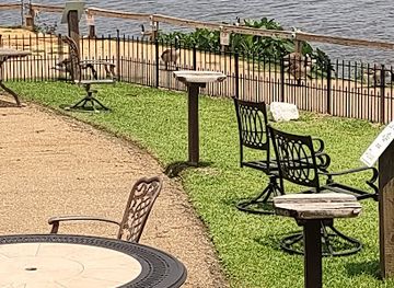 mississippi/ross-barnett-reservoir/bar/cock-of-the-walk