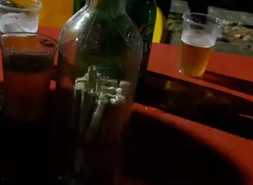 Pandora Spot