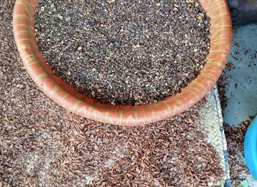 mali/dogon-country/bar/africano-hotel-bar