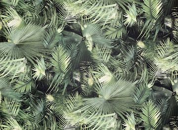 gabon/nyanga-province/bar/l-ikoni-bar