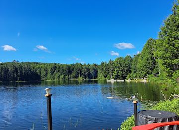 canada/haliburton-highlands/bar/haliburton-forest-wild-life-reserve-ltd