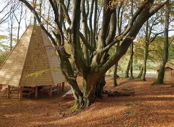 denmark/rebild-bakker/bar/balhytten-i-rebild-bakker
