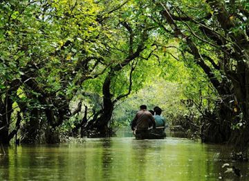 bangladesh/ratargul-swamp-forest/bar/ratargul