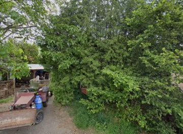 czechia/central-bohemia/bar/jiri-kolar-hospudka-na-kopecku