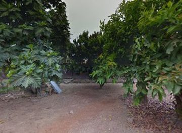 thailand/sukhothai/bar/ban