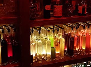 france/provence/bar/barracuda