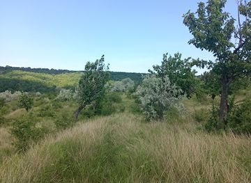 moldova/tighina-county/bar/iuzur-ceavdari