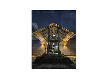 india/kaziranga-national-park/bar/foxtail-orchid-kaziranga