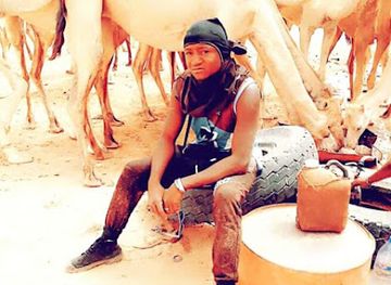 cote-d-ivoire/bas-sassandra/bar/maquis-primature