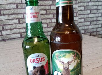 romania/bran-moieciu/bar/caffe-bar-non-stopp