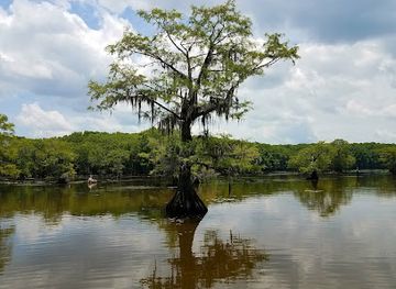 louisiana/caddo-lake-state-park/bar/shady-glade-cafe