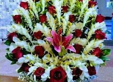 eritrea/asmara/bar/bar-angolo