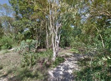 sri-lanka/north-western-province/bar/