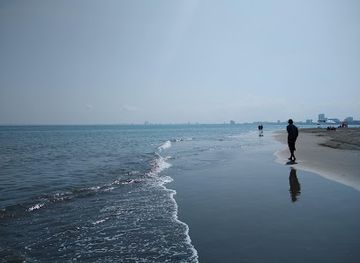 mexico/veracruz/boca-del-rio/bar/coralinos