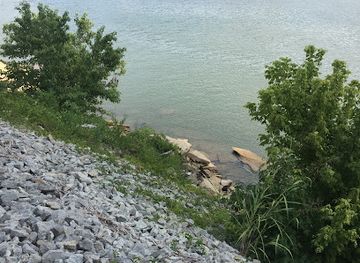 tennessee/hatchie-river-area/bar/the-water-hole-ii