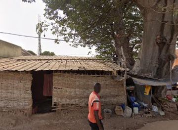 senegal/casamance/bar/bar-le-baobab