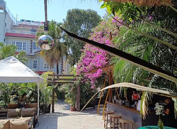 nepal/patan/bar/botanist