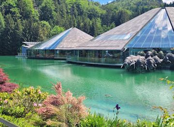 austria/salzkammergut-lakes/bar/steckerlfisch-in-abersee