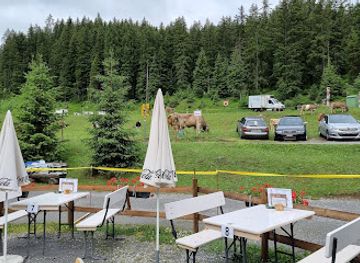 switzerland/klosters/bar/gruenbodeli-gmbh