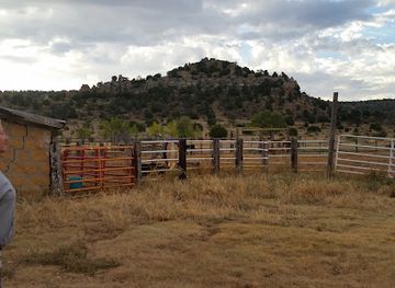 oklahoma/black-mesa-state-park/bar/hitching-post-working-ranch