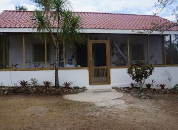 belize/mountain-pine-ridge/bar/pine-ridge-lodge