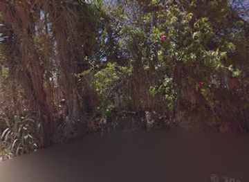 ecuador/loja/bar/campis-bar