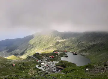 Cabana Paltinu