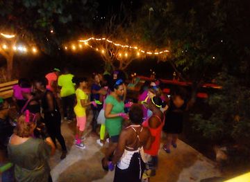 jamaica/pedro-plains/bar/lotus-view-bar