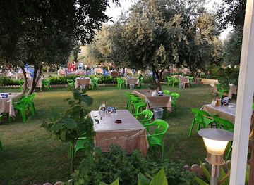 iraq/western-desert/bar/dava-ster