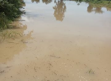 cambodia/pursat/bar/kouprey-net