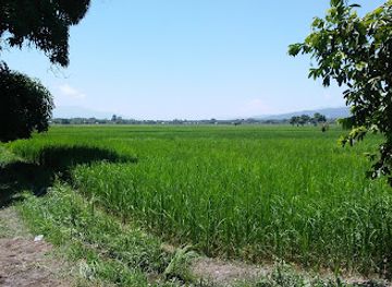 haiti/artibonite/bar/preval-artibonite