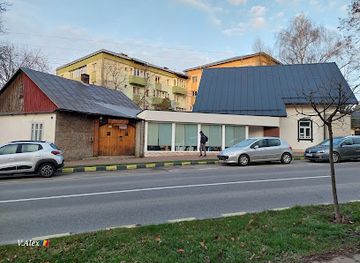 romania/suceava/bar/iedera