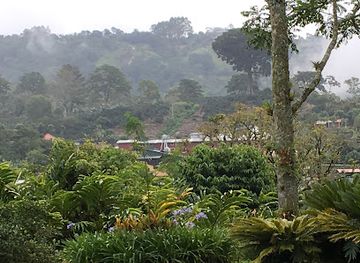 costa-rica/turrialba-valley/bar/aquiares-coffee-community-experience