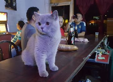 panama/veraguas/bar/bar-el-descanso