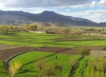 afghanistan/zabul/bar/