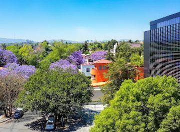 mexico/sierra-madre-occidental/bar/sierra-madre