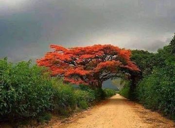 somalia/middle-juba/bar/xaliim-axmed