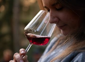 finland/nuuksio-national-park/bar/wine-in-the-woods